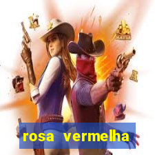 rosa vermelha (letra e cifra)